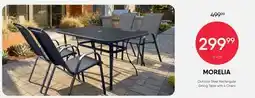Meubles RD Morelia - Outdoor Steel Rectangular Dining Table with 4 Chairs offer
