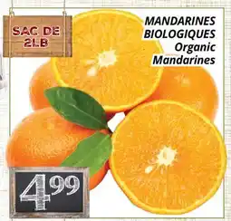 Supermarché PA MANDARINES BIOLOGIQUES | Organic Mandarines offer