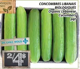 Supermarché PA CONCOMBRES LIBANAIS BIOLOGIQUES | Organic Lebanese Cucumbers offer