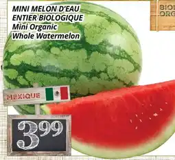 Supermarché PA MINI MELON D'EAU ENTIER BIOLOGIQUE | Mini Organic Whole Watermelon offer