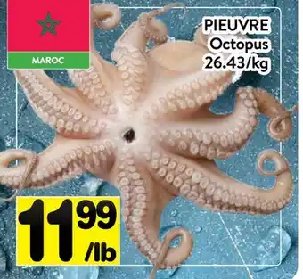 Supermarché PA PIEUVRE | Octopus offer