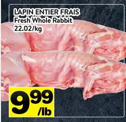 Supermarché PA LAPIN ENTIER FRAIS | Fresh Whole Rabbit offer