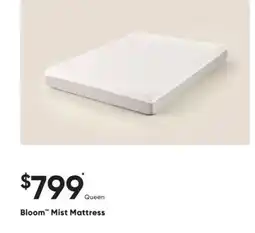 Sleep Country Bloom Mist Mattress offer