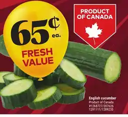 Giant Tiger English cucumber offer