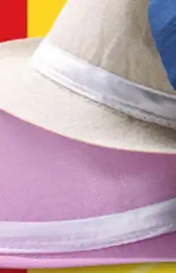 Giant Tiger Women's fedora hat offer
