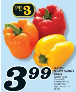 Marché Richelieu POIVRONS DE SERRE COULEURS VARIÉES | PEPPERS ASSORTED COLORS offer