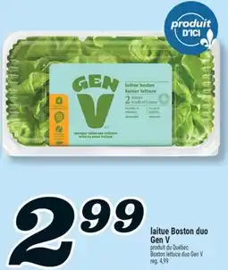Marché Richelieu LAITUE BOSTON DUO GEN V | BOSTON LETTUCE DUO GEN V offer