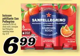Marché Richelieu BOISSON PÉTILLANTE SAN PELLEGRINO | SAN PELLEGRINO SPARKLING WATER offer