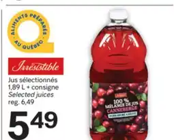 Brunet IRRESISTIBLE Jus sélectionnés offer