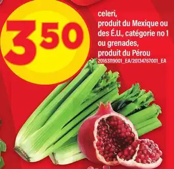 Maxi CELERI offer