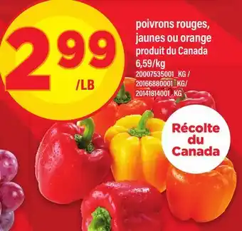 Maxi POIVRONS ROUGES, JAUNES OU ORANGE offer