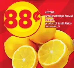 Maxi CITRONS PRODUIT D'AFRIQUE DU SUD offer