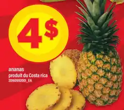 Maxi ANANAS offer