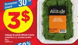 Maxi MÉLANGE DE SALADE ATTITUDE FRAÎCHE offer