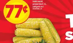 Maxi MAÏS SUCRÉ offer