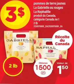 Maxi POMMES DE TERRE JAUNES LA GABRIELLE OU ROUGES LA RAPHAËLLE, 2 LB offer