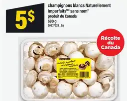 Maxi CHAMPIGNONS BLANCS NATURELLEMENT IMPARFAITS SANS NOM offer