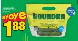 Super C mini concombres | mini cucumbers offer