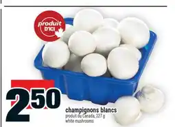 Super C champignons blancs | white mushrooms offer
