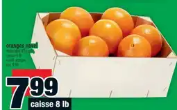 Super C oranges navel | navel oranges offer