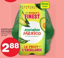 Marches Tradition HASS AVOCADOS offer