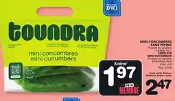 Marches Tradition SEEDLESS MINI CUCUMBERS offer