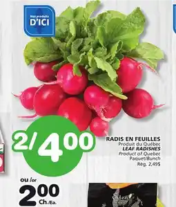 Marches Tradition LEAF RADISHES offer