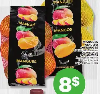 Marches Tradition ATAULFO OR RED MANGOS offer