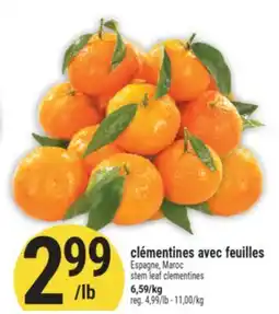 Marché Adonis CLÉMENTINES AVEC FEUILLES | STEM LEAF CLEMENTINES offer