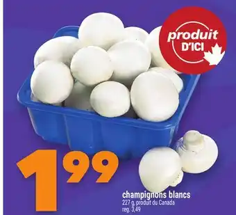 Marche Ami CHAMPIGNONS BLANCS offer