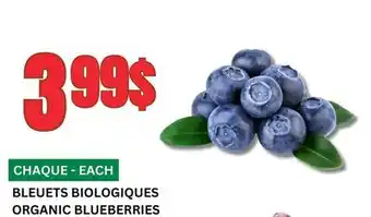Marches Tau BLEUETS BIOLOGIQUES offer