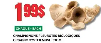 Marches Tau CHAMPIGNONS PLEUROTES BIOLOGIQUES offer