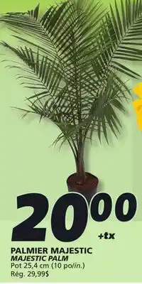 IGA PALMIER MAJESTIC MAJESTIC PALM offer