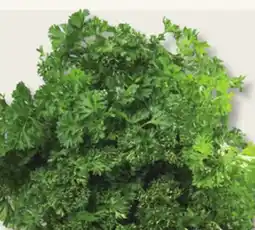 IGA FRESH CURLY OR ITALIAN PARSLEY offer