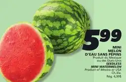IGA SEEDLESS MINI WATERMELON offer