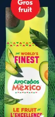 IGA HASS AVOCADOS offer