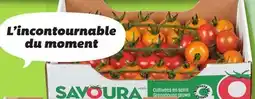 IGA SALADIO, TOMATRIO OR CERIZO TOMATOES offer