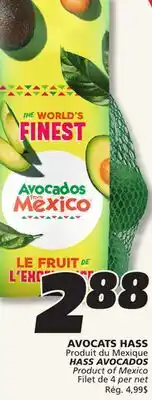 IGA HASS AVOCADOS offer