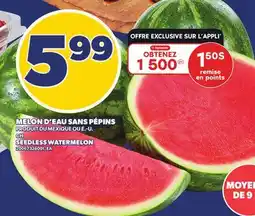 Provigo MELON D'EAU SANS PÉPINS | SEEDLESS WATERMELON offer