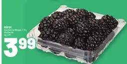 Metro MÛRES | BLACKBERRIES offer