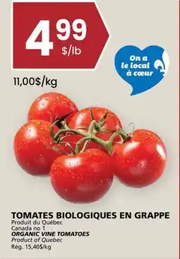 Rachelle-Bery Grocery ORGANIC VINE TOMATOES offer