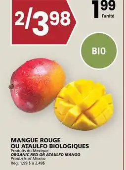Rachelle-Bery Grocery ORGANIC RED OR ATAULFO MANGO offer