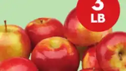Giant Tiger 3 lb McIntosh apples offer