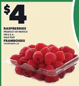Independent Grocer RASPBERRIES, HALF PINT offer