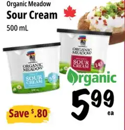 Farm Boy Organic Meadow Sour Cream offer