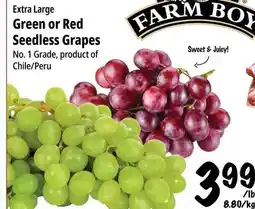 Farm Boy Extra Large Green or Red Seedless Grapes offer