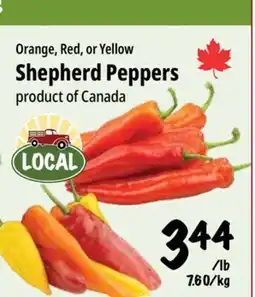 Farm Boy Orange, Red, or Yellow Shepherd Peppers offer