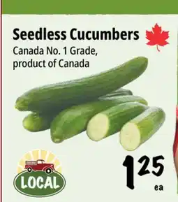 Farm Boy Seedless Cucumbers offer