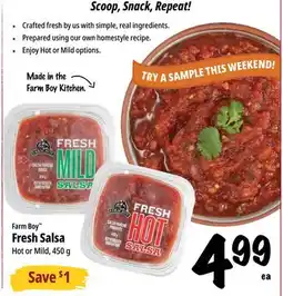 Farm Boy Farm Boy Fresh Salsa offer