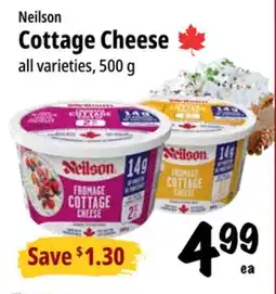 Farm Boy Neilson Cottage Cheese offer